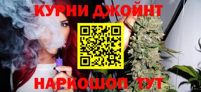 гидра Кингисепп