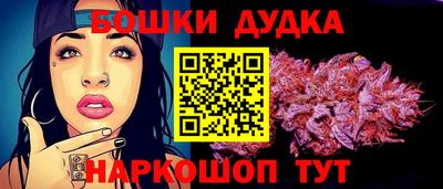 гидра Кингисепп
