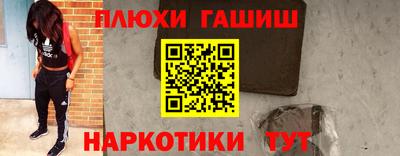 гидра Кингисепп